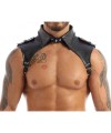 Leather Collar Harness