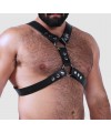 Leather X harness
